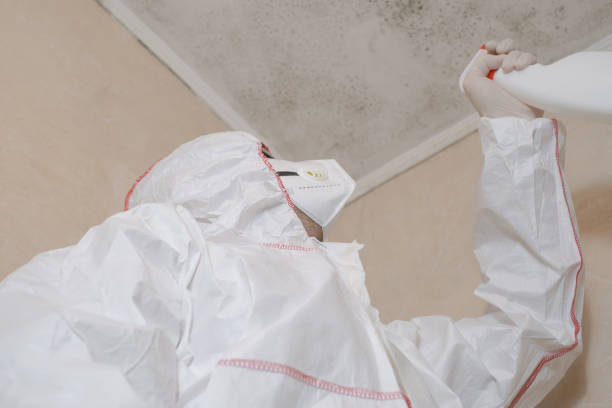 Best Home Mold Removal  in Salem, NC